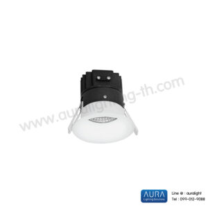 AU-DLLED-LZ- D3-3001-B11