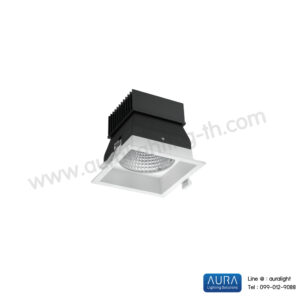 AU-DLLED-LZ- D3-5001-B20